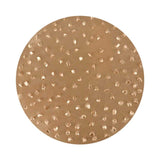 TapeTech Tungsten Carbide Sanding Discs